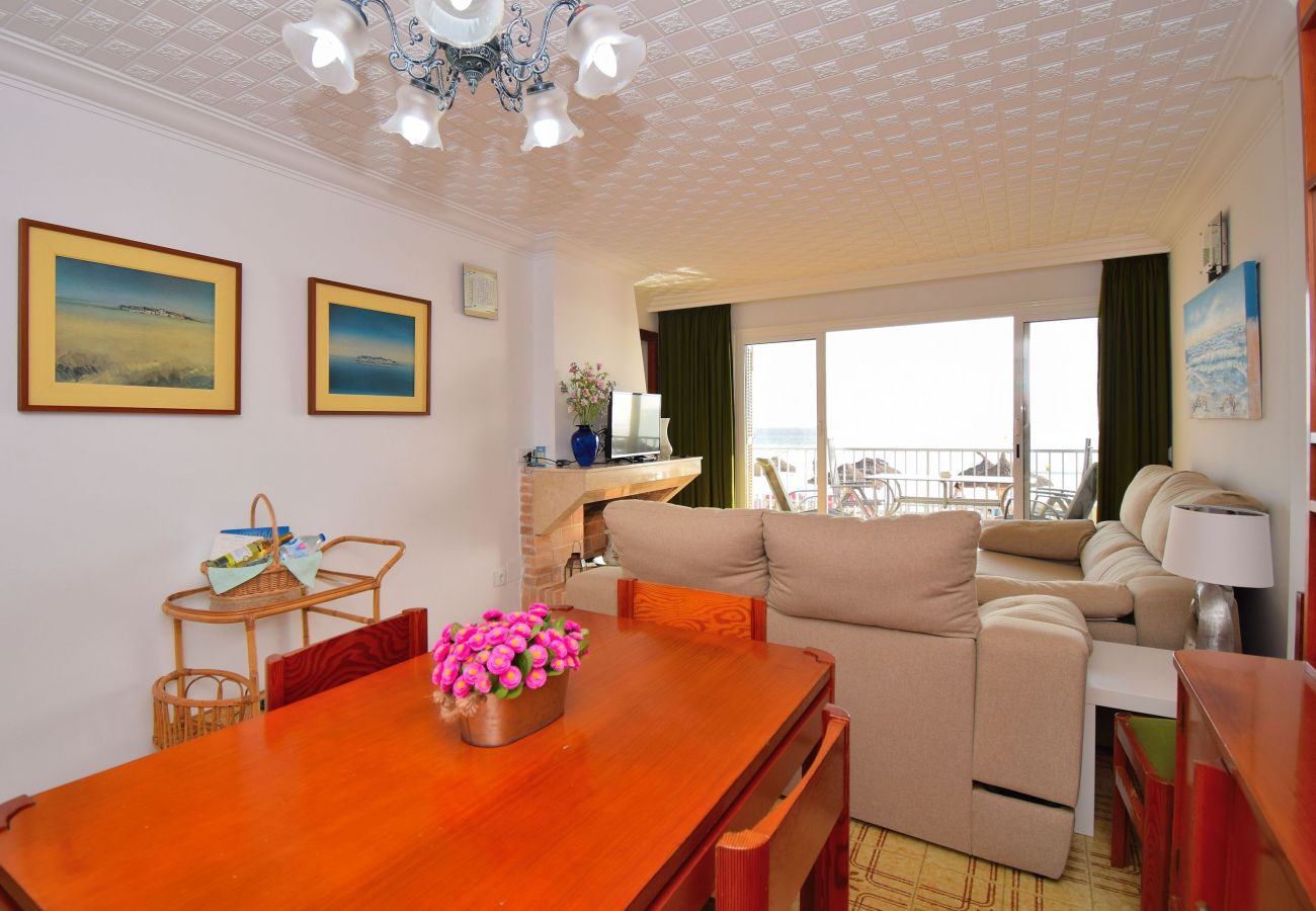 Apartment in Alcudia - 174 Apartamento Fantastic ETVPL/12650 by Mallorca