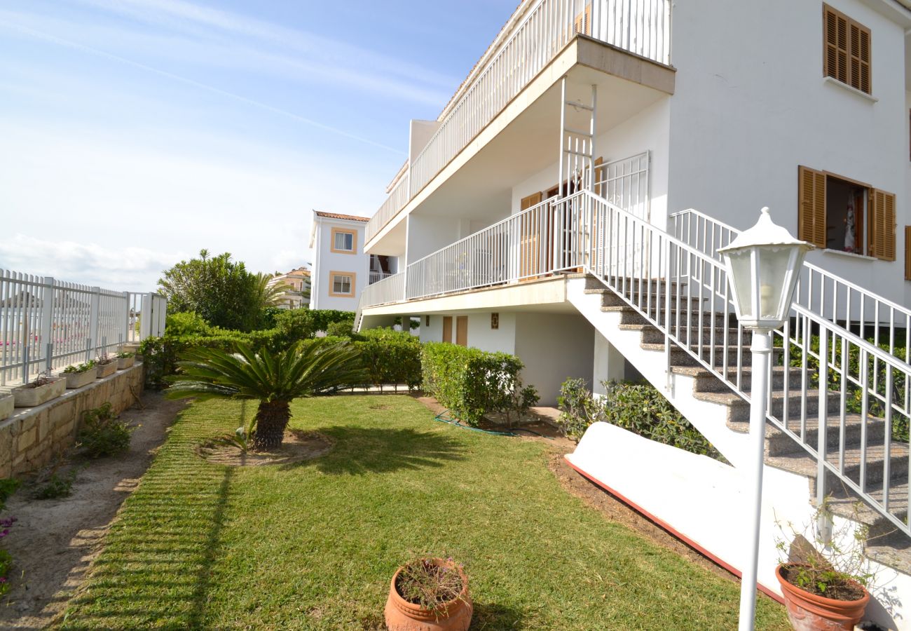 Apartment in Alcudia - 174 Apartamento Fantastic ETVPL/12650 by Mallorca