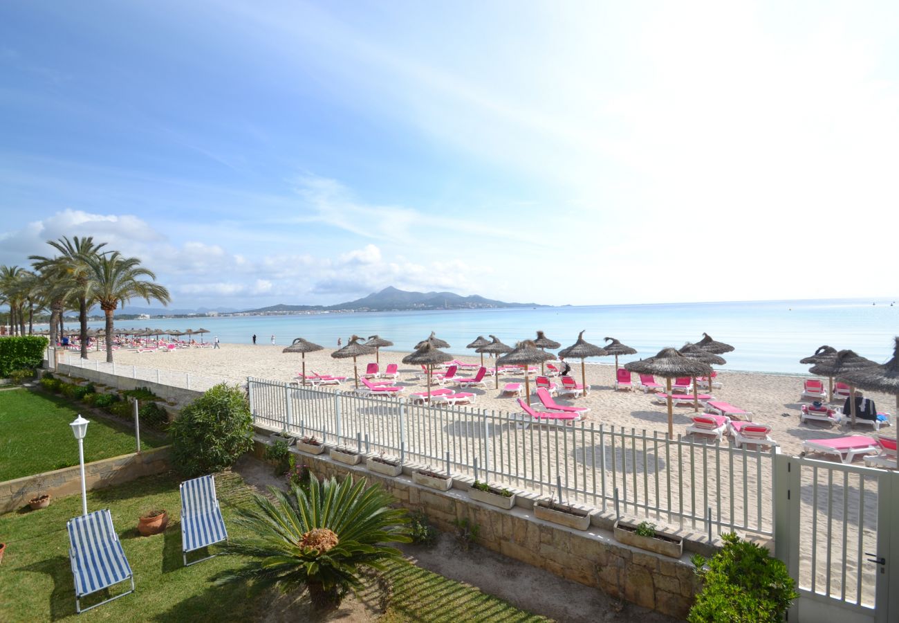 Apartment in Alcudia - 174 Apartamento Fantastic ETVPL/12650 by Mallorca