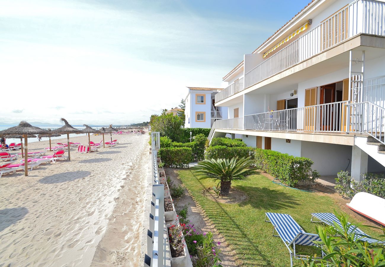 Apartment in Alcudia - 174 Apartamento Fantastic ETVPL/12650 by Mallorca