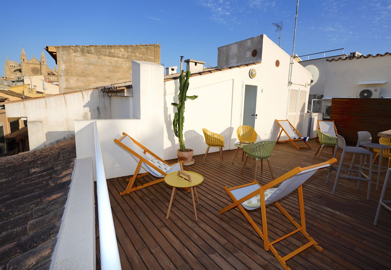 Apartment in Palma de Mallorca - Montmari TI - Spacious and bright apartment