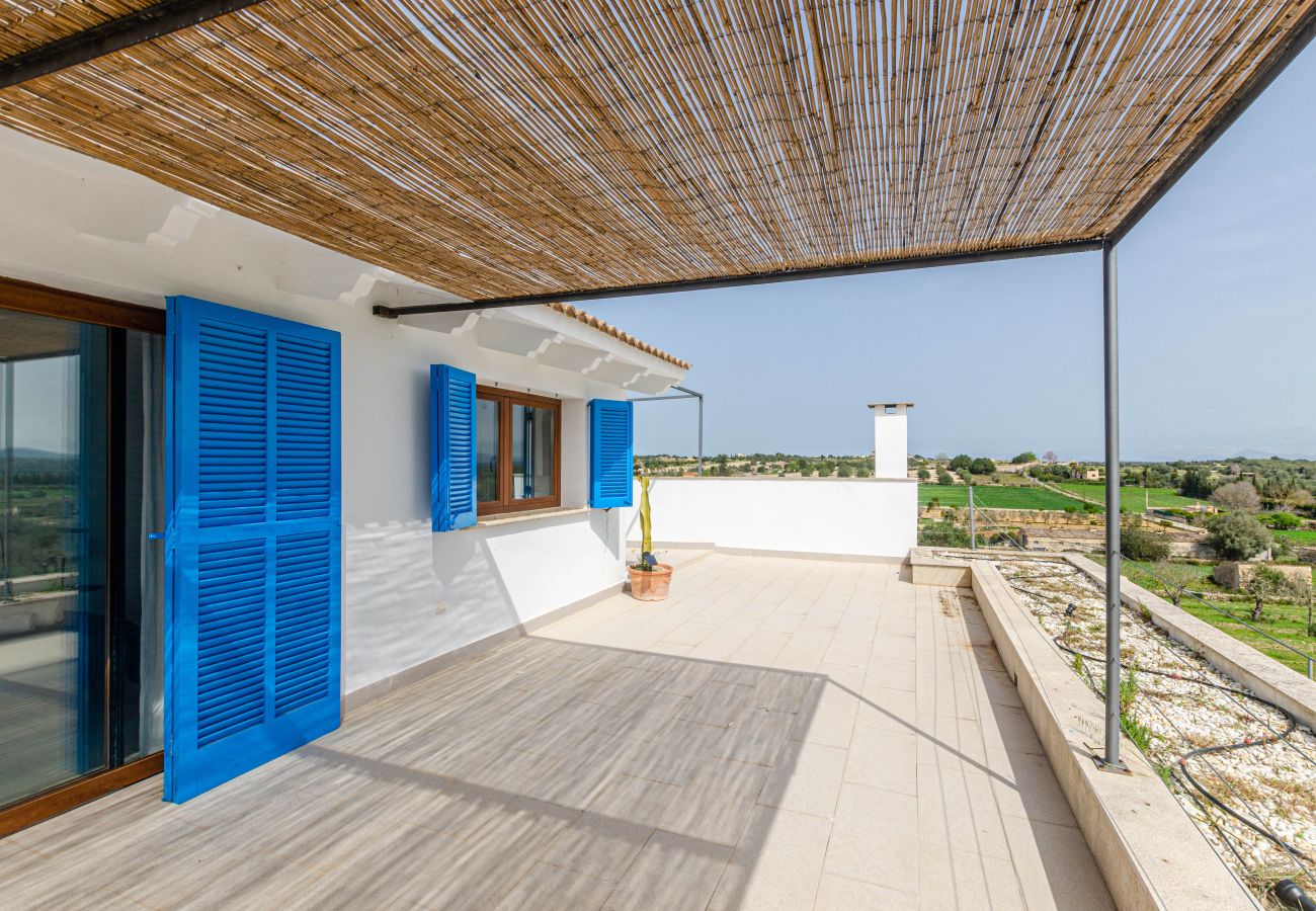 Villa in Maria de la salut - YourHouse Carrera Plana