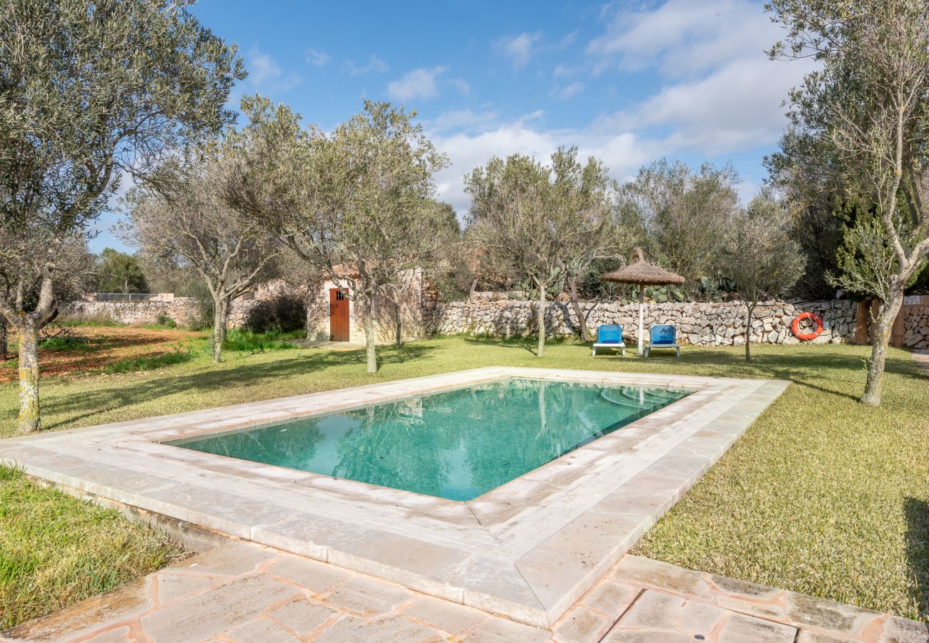 House in Es Llombards - Finca Aljub de Son Amer