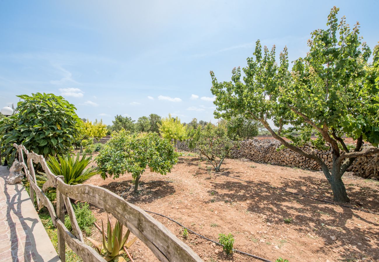 House in Felanitx - Finca Son Sole