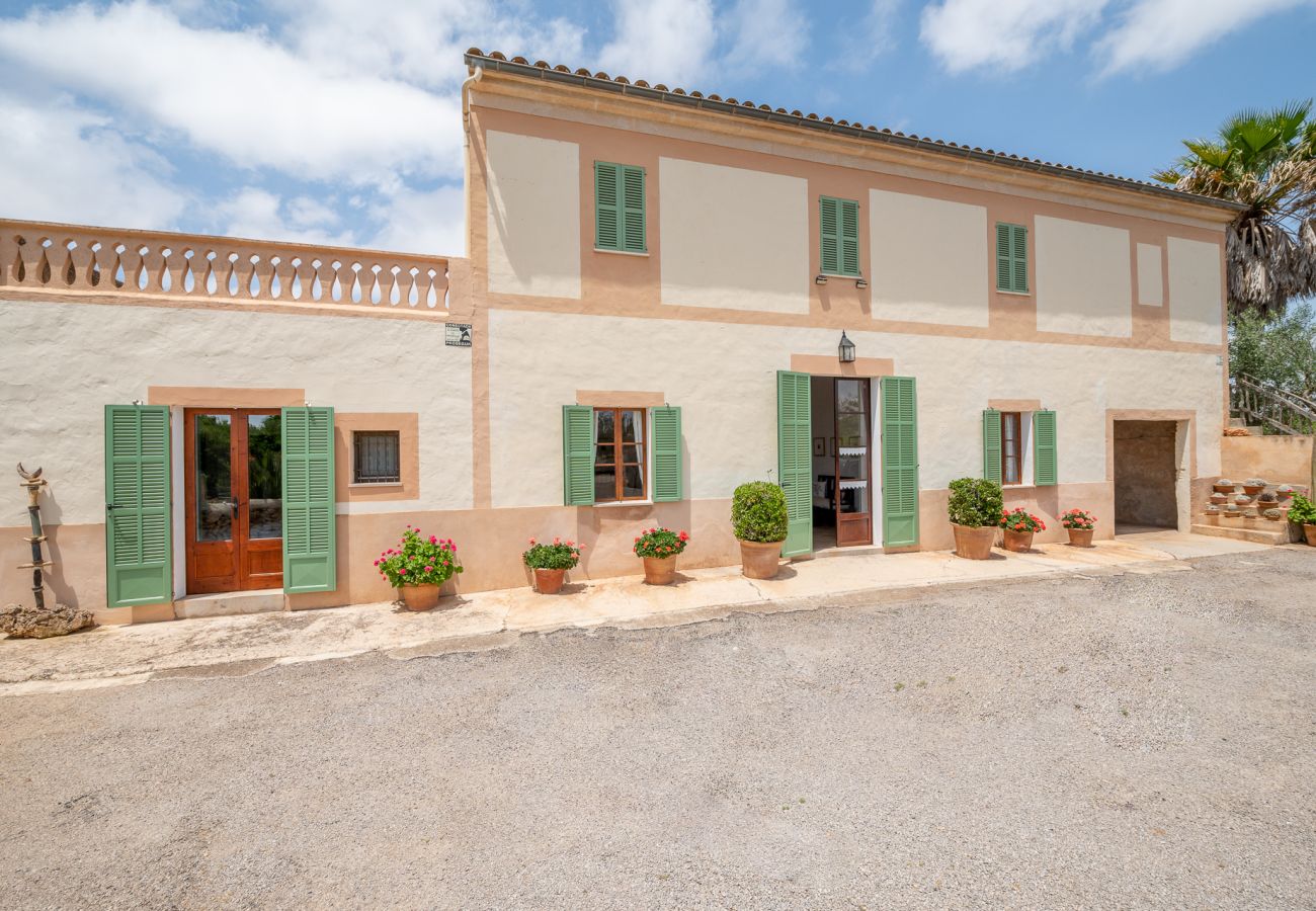 House in Campos - Finca Ses Rotes de Son Rossinyol