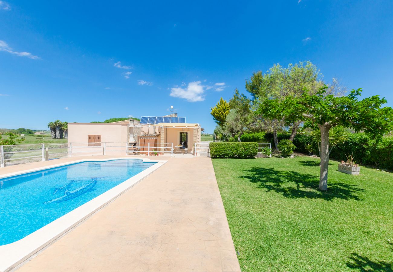 Villa in Santa Margalida - YourHouse Sa Cova Dor