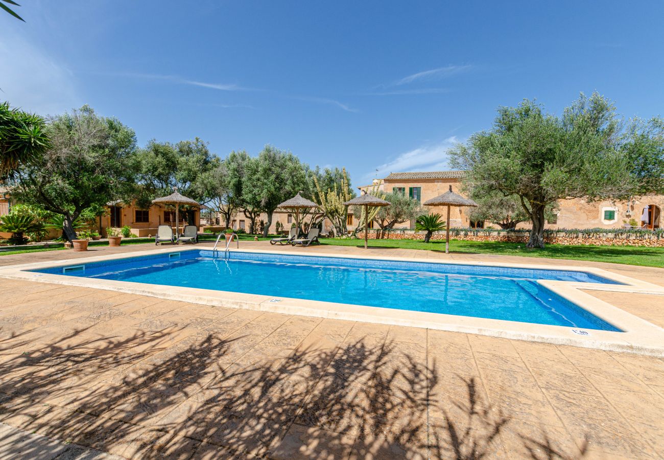 Farm stay in Campos - YourHouse Son Sala Agroturismo Vina Vella - doble