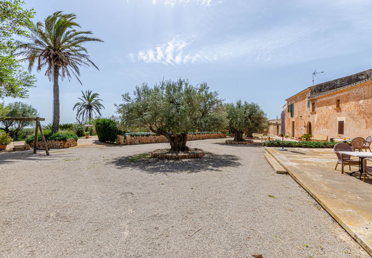 Farm stay in Campos - YourHouse Son Sala Agroturismo Vina Vella - doble