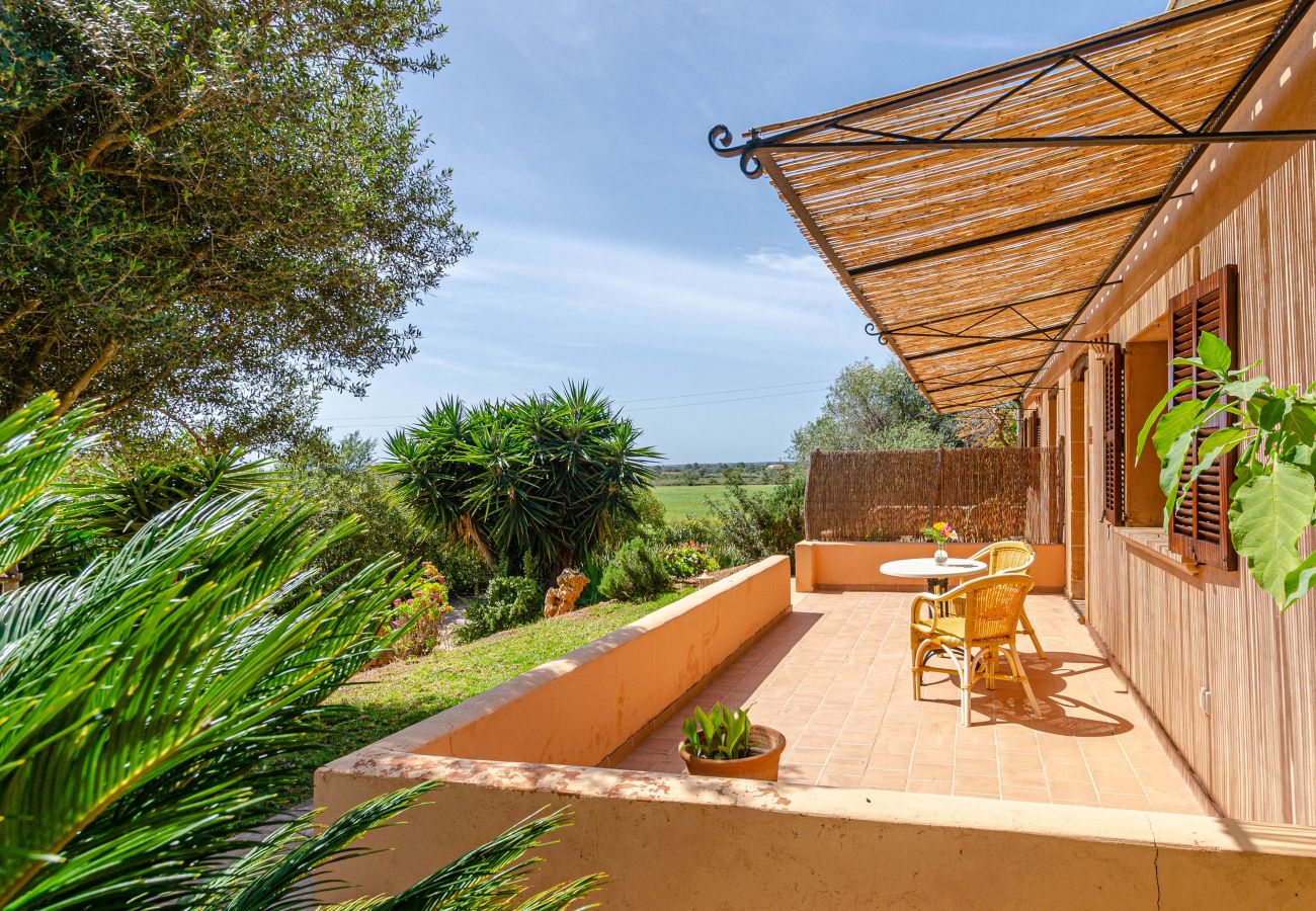 Farm stay in Campos - YourHouse Son Sala Agroturismo Na gual doble