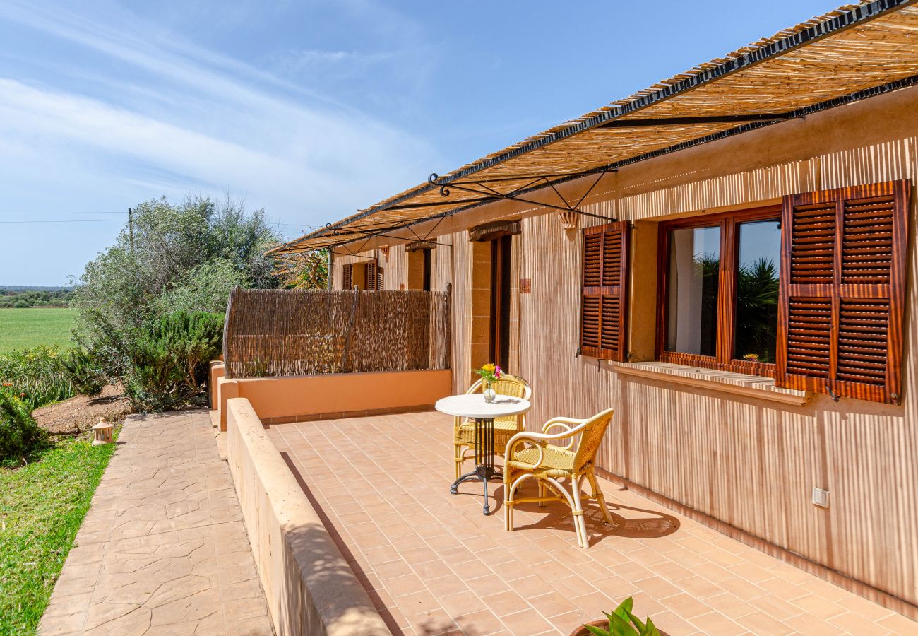 Farm stay in Campos - YourHouse Son Sala Agroturismo Na gual doble