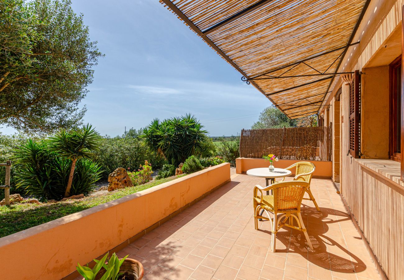 Farm stay in Campos - YourHouse Son Sala Agroturismo Na gual doble