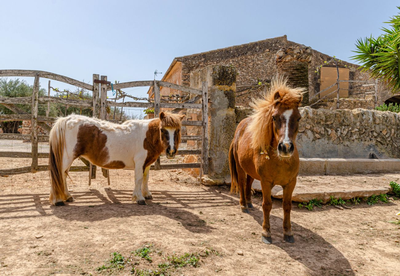 Farm stay in Campos - YourHouse Son Sala Agroturismo Na gual doble