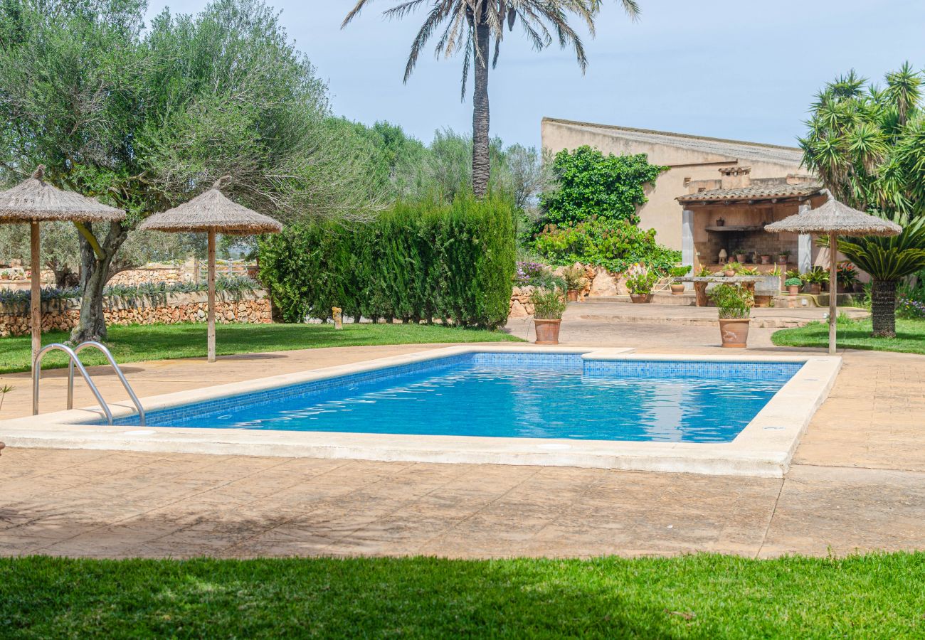 Farm stay in Campos - YourHouse Son Sala Agroturismo Na gual doble