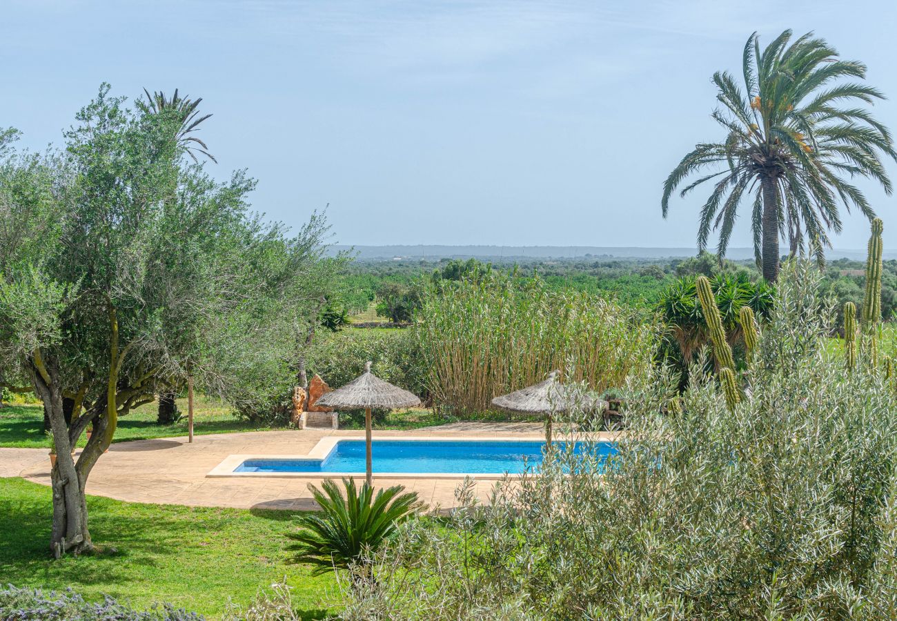 Farm stay in Campos - YourHouse Son Sala Terrat Apartment in Agroturismo