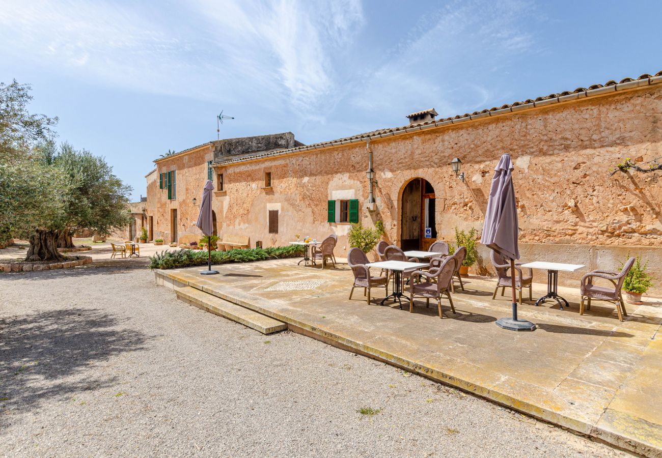 Farm stay in Campos - YourHouse Son Sala Terrat Apartment in Agroturismo