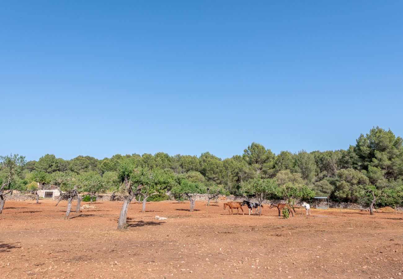 Villa in Cala Murada - Finca Es Pi by Mallorca House Rent